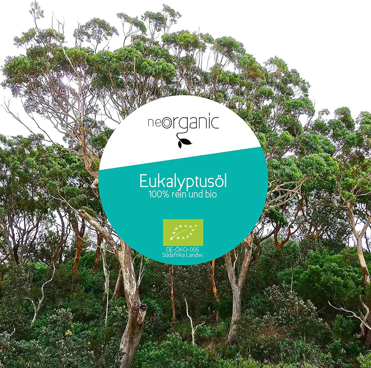 Bio Eukalyptusöl (Eucalyptus Radiata)