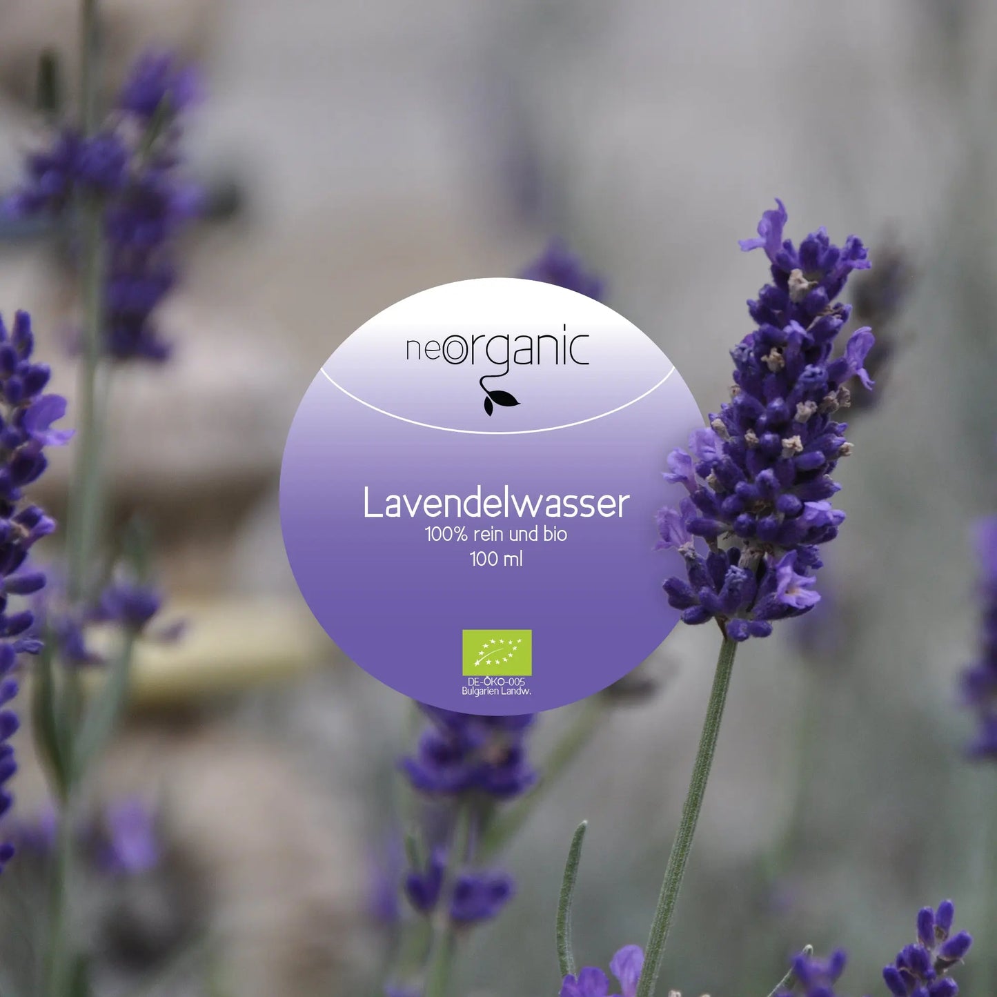 Bio Lavendelwasser – mit Bio Bulgarischem Lavendel (Lavandula Angustifolia)