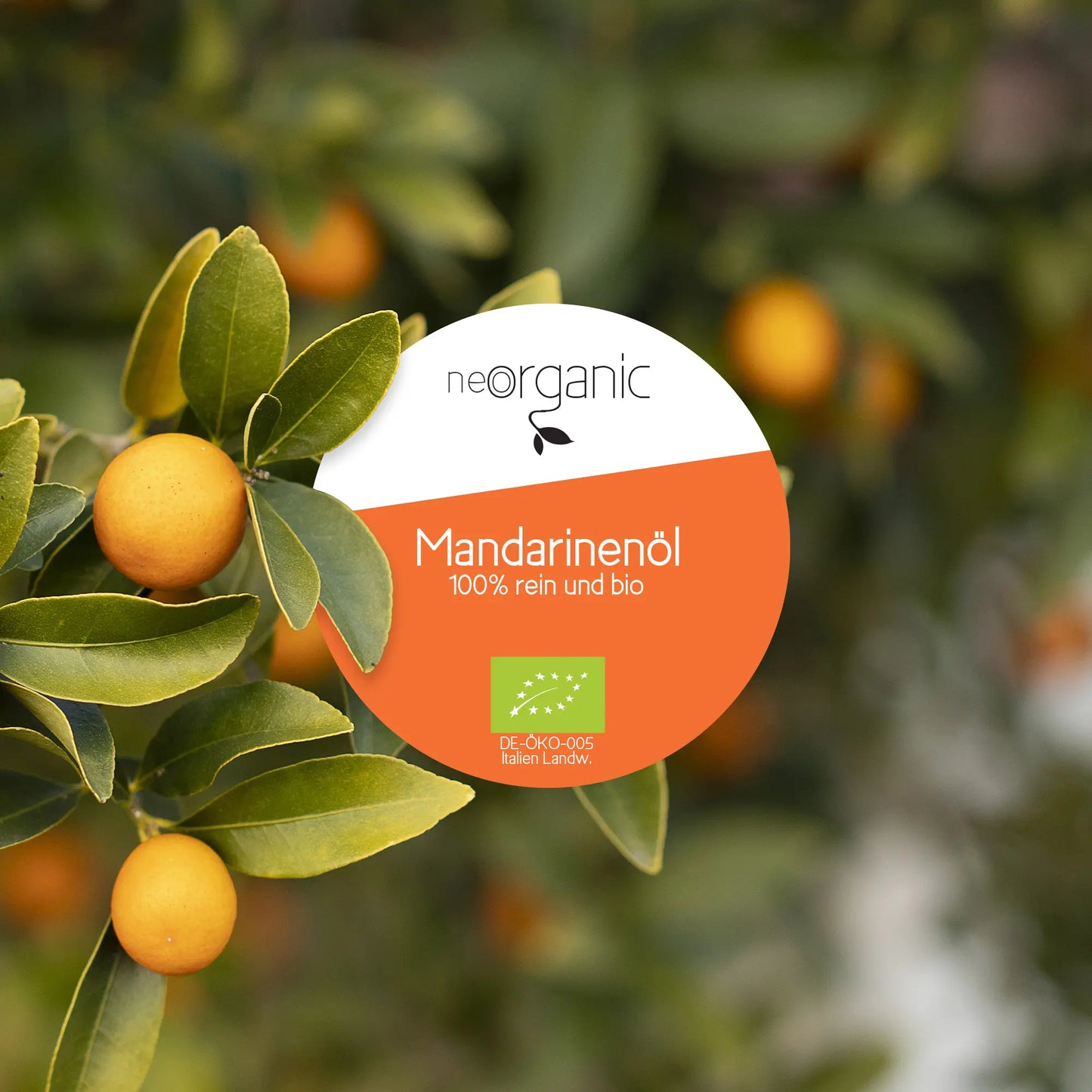 Bio Mandarinenöl (Citrus Reticulata Blanco)