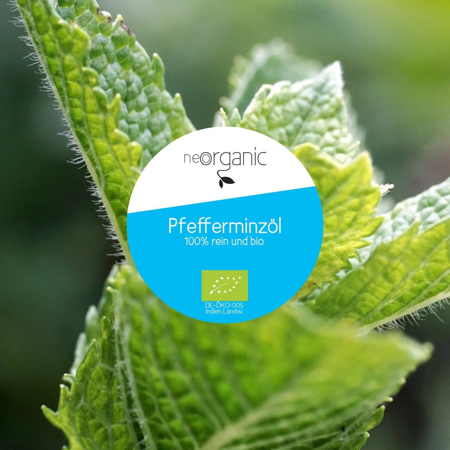 Bio Pfefferminzöl (Mentha Piperita)
