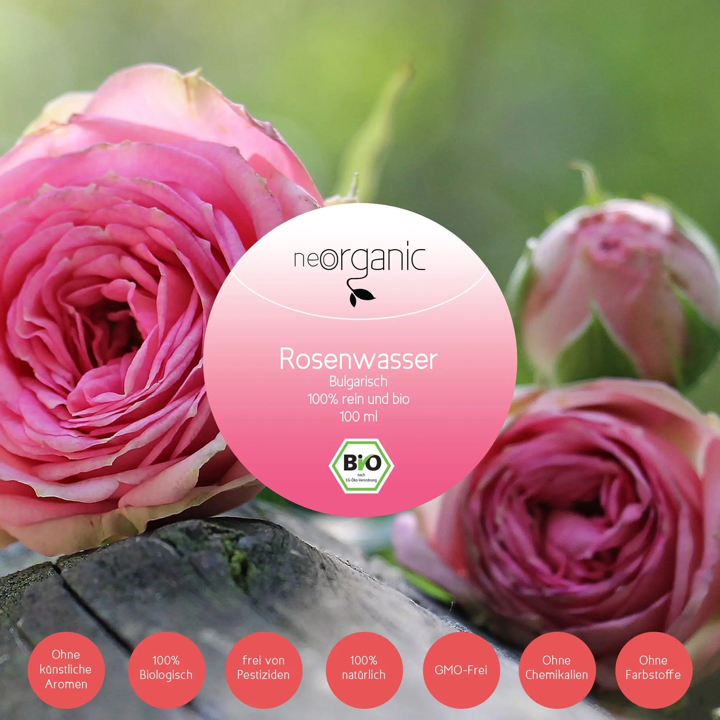 Bio Rosenwasser der Bulgarischen ölgebenden Rosa Damascena