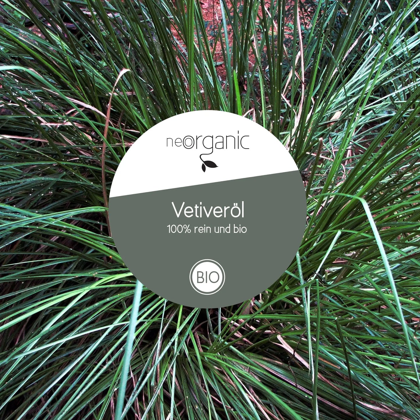 Bio Vetiveröl (Vetiveria Zizanioides)