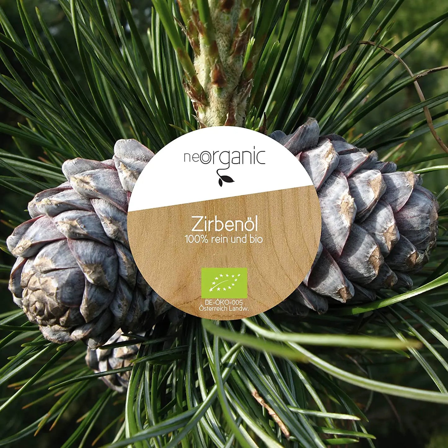 Bio Zirbenöl (Pinus Cembra Alpes), Zirbelöl