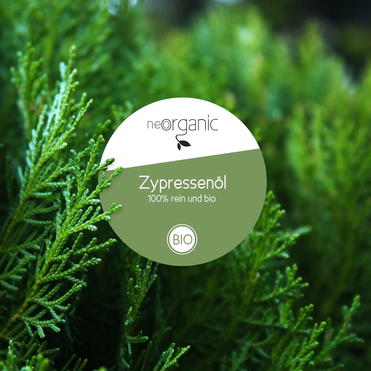 Bio Zypressenöl (Cupressus Sempervirens)