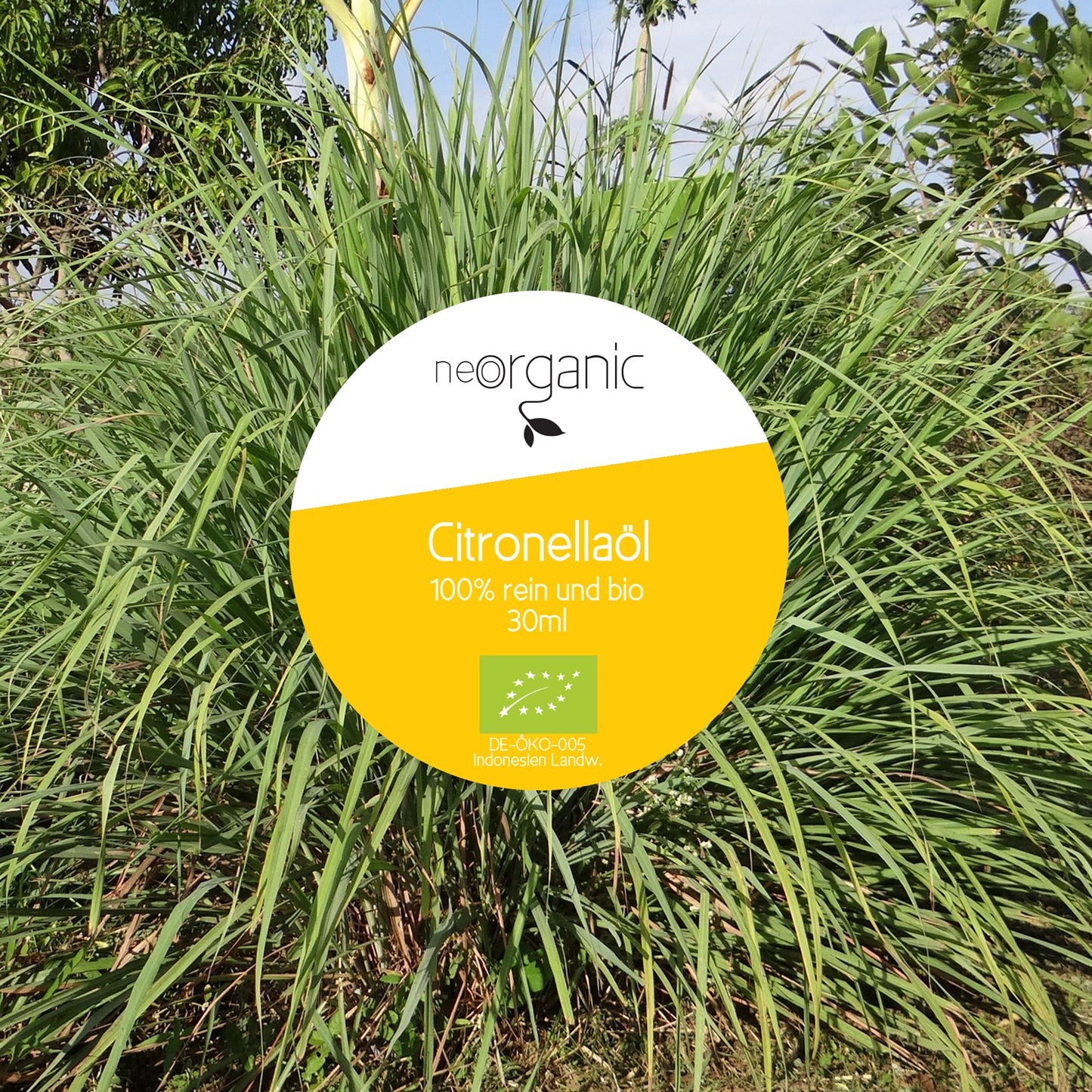 Bio Citronella-Öl (Cymbopogon winterianus jowitt)