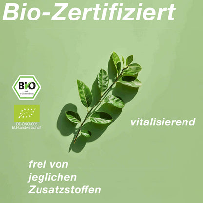 Bio Kampferöl (Cinnamomum camphora)