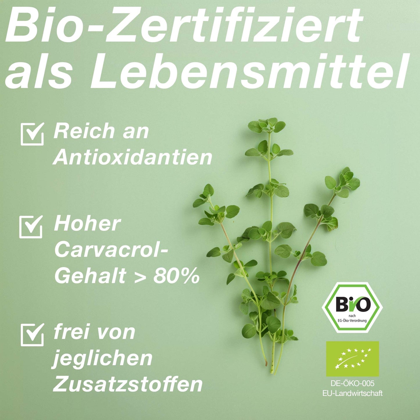 Bio Oregano-Öl (Origanum Vulgare), 80% Carvacrol - 30ml