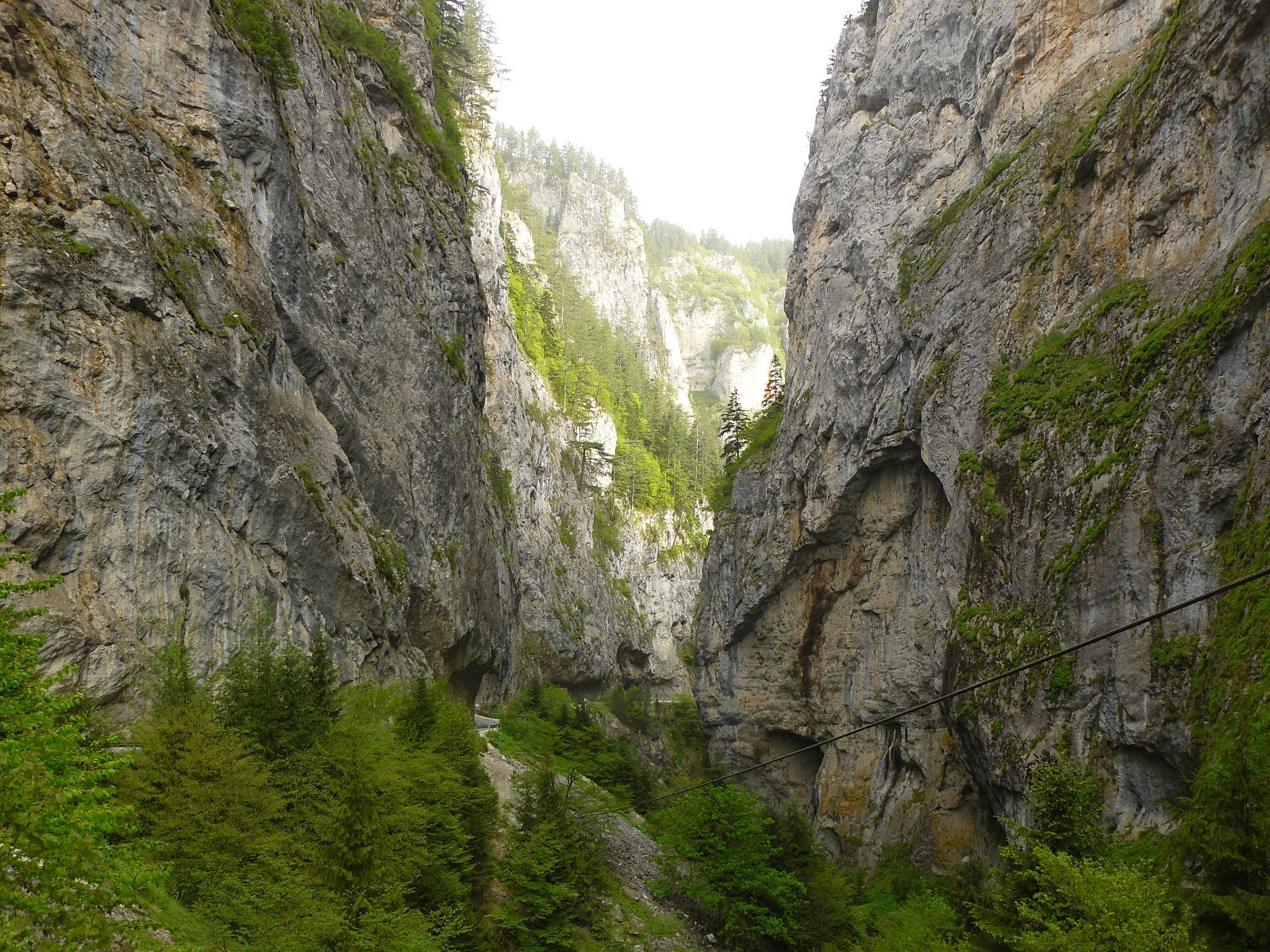 Berge Bulgarien für Bio Bulgarischer Bergtee (Sideritis Scardica)