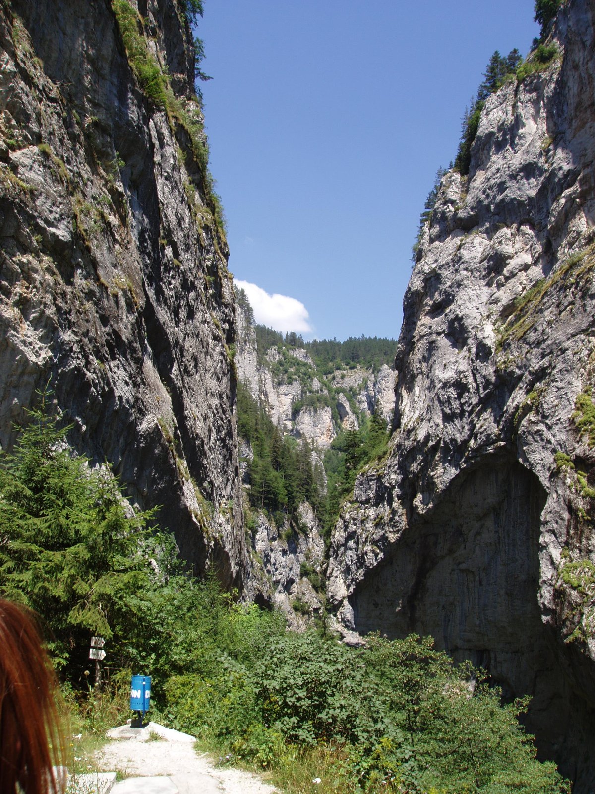 Berge Bulgarien für Bio Bulgarischer Bergtee (Sideritis Scardica)