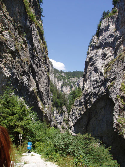 Berge Bulgarien für Bio Bulgarischer Bergtee (Sideritis Scardica)
