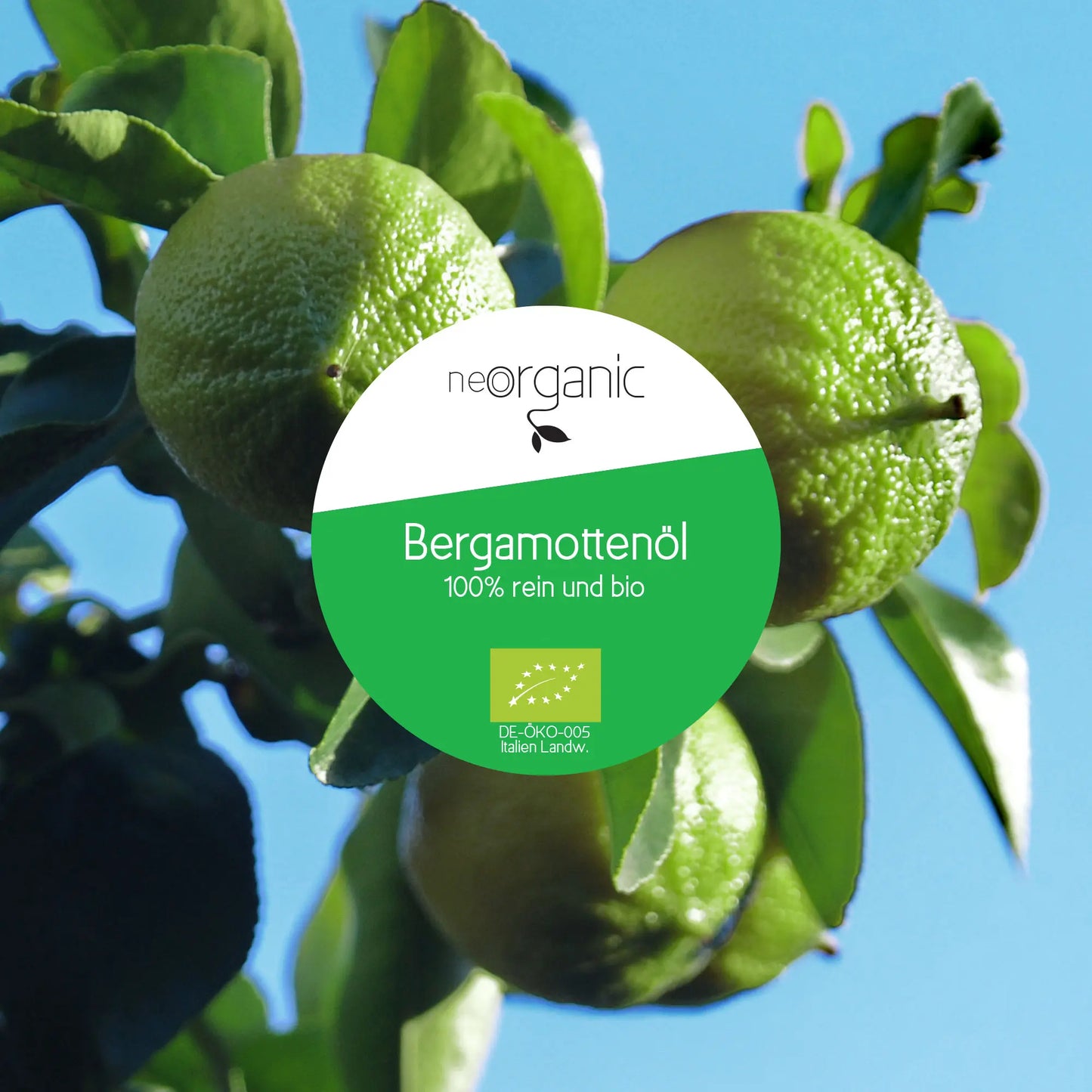 Bio Bergamottenöl (Citrus Bergamia Risso)
