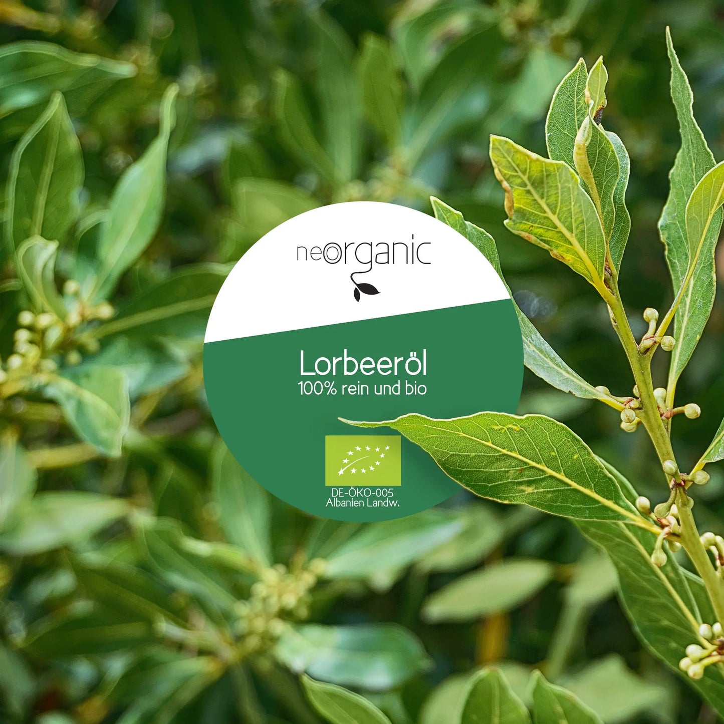 Bio Lorbeeröl (Laurus Nobilis)