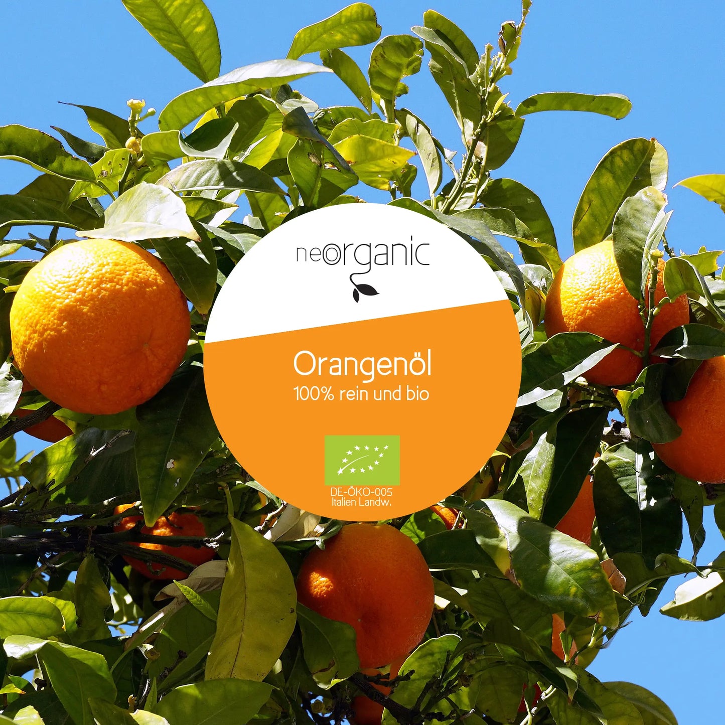 Bio Orangenöl (Citrus Aurantii Dulcis Peel Oil)