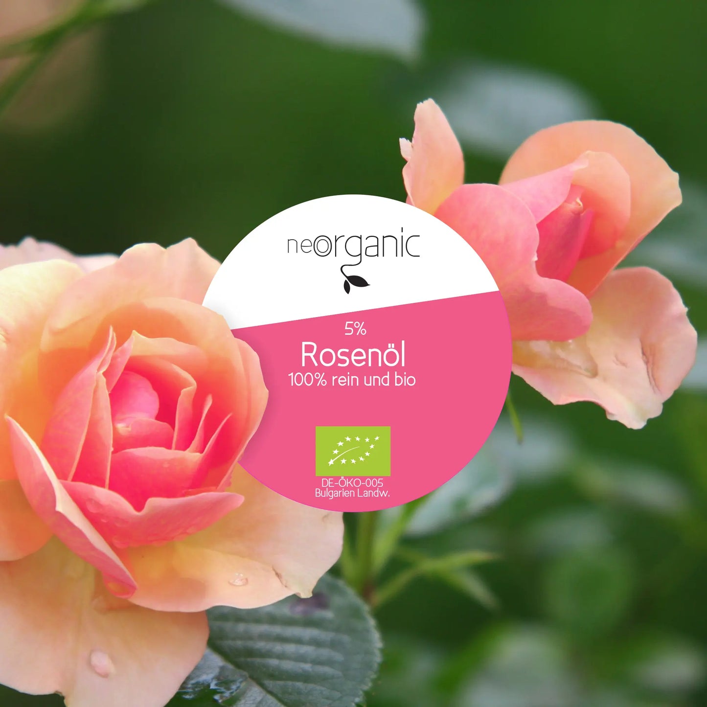 Bio Rosenöl (Rosa Damascena)