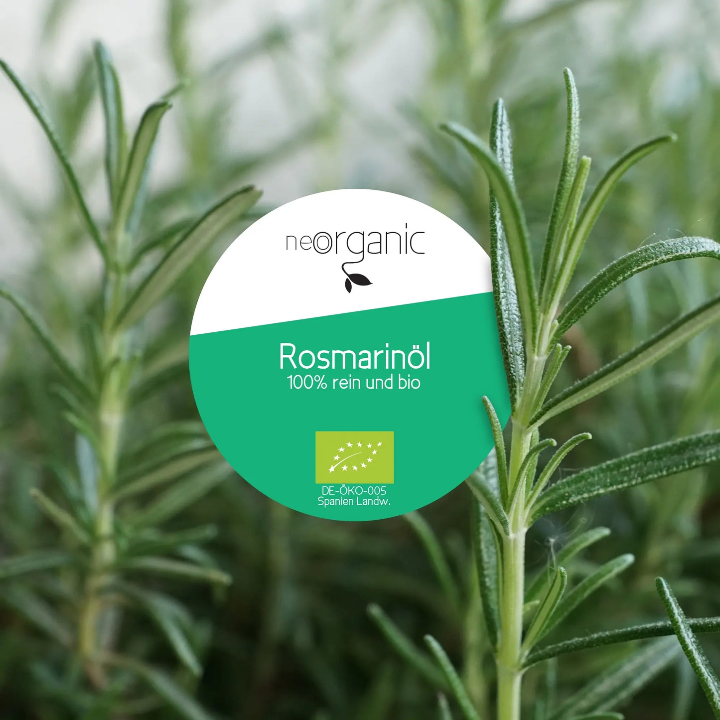 Rosmarinöl haare Rosemary Oil for Hair Rosmarin Öl Growth Bio Essential Haaröl für Haar Reines die Rossmarinöl Wachstum ätherisches hochdosiert Haarwachstum Haarkur Haarpflege Haarbehandlung Haarstärkung Natürliches Organisches trockene gesundes Haarmaske Haarspülung