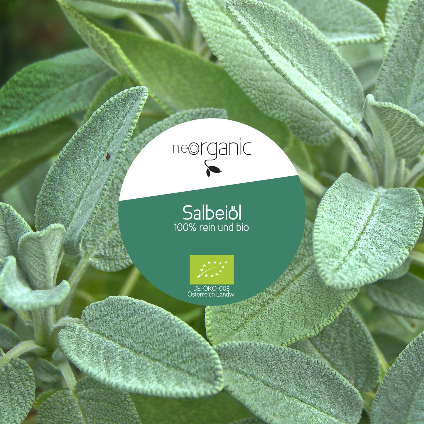 Bio Salbeiöl (Salvia Officinalis)