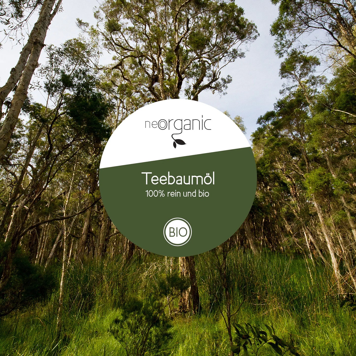 Bio Teebaumöl (Melaleuca Alternifolia)