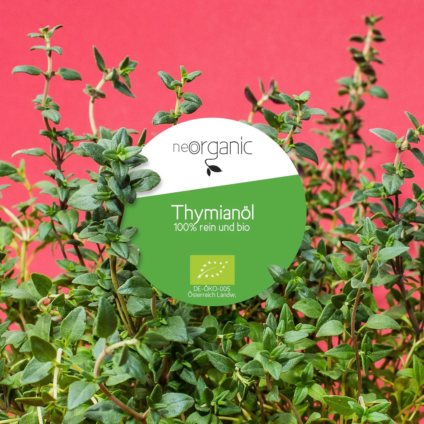 Bio Thymianöl (Thymus Vulgaris)