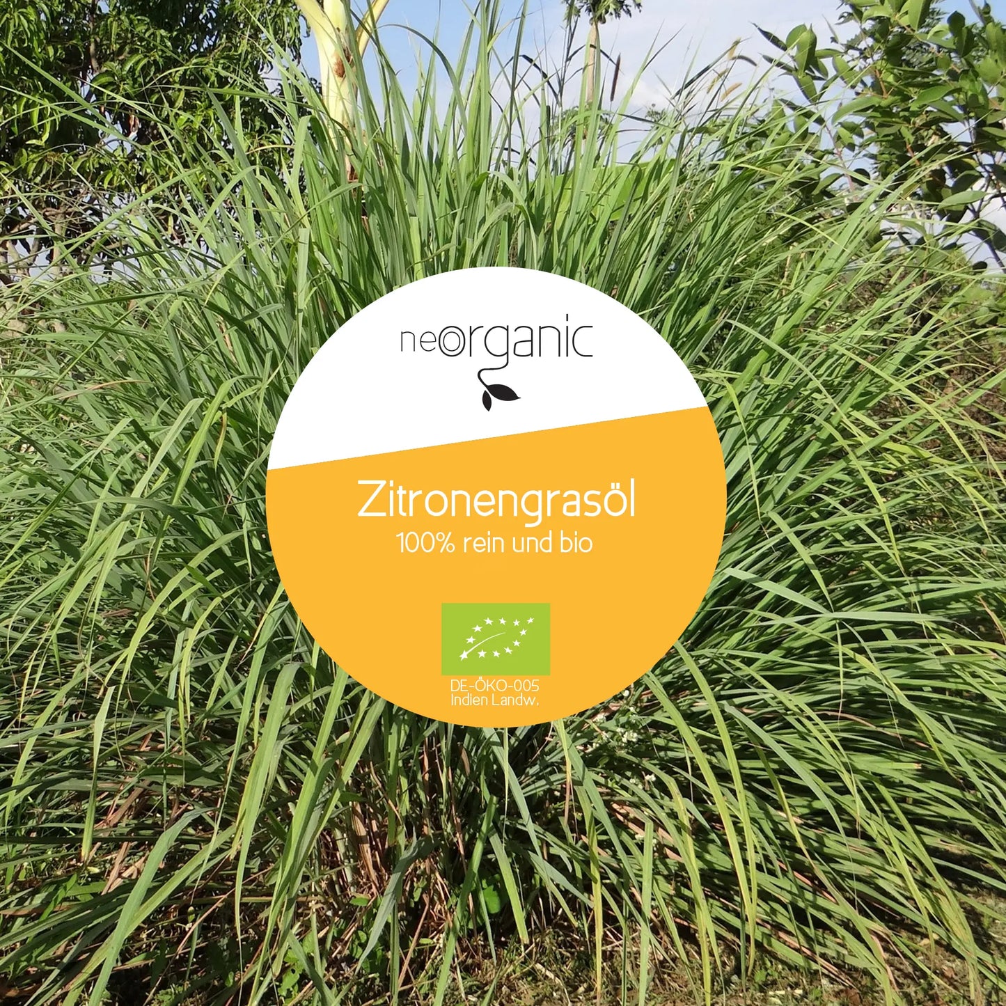 Bio Zitronengrasöl (Cymbopogon Flexuosus)