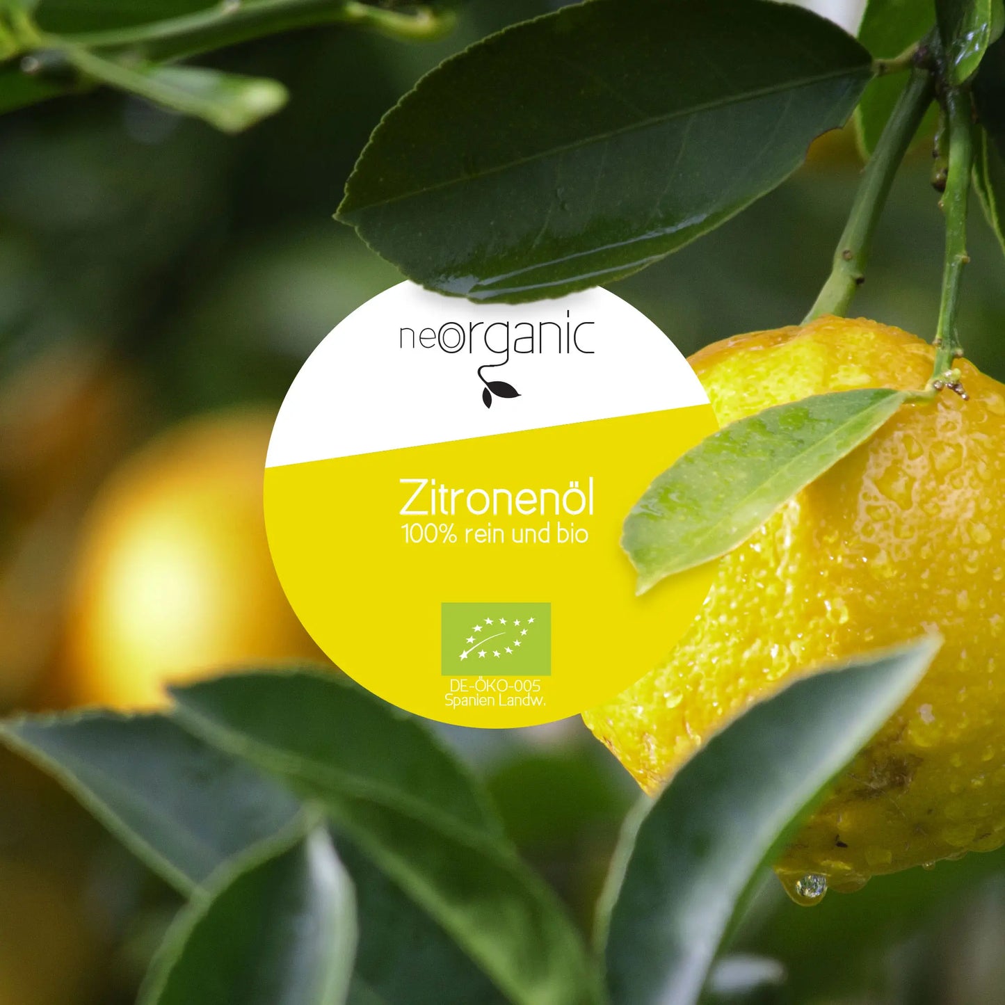 Bio Zitronenöl (Citrus Limon)