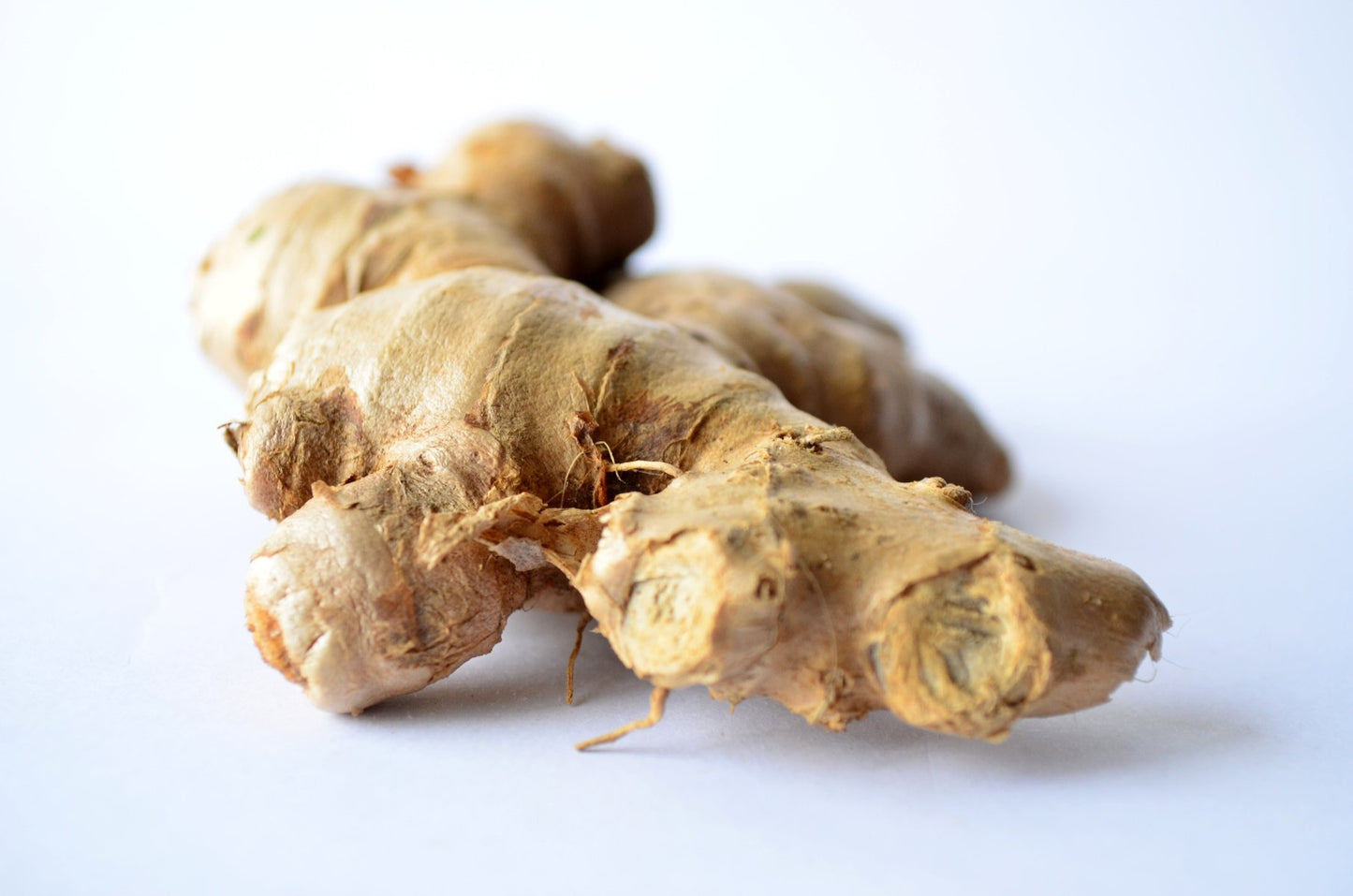 Ingwer Knolle Close Up (Zingiber Officinale Roscoe)