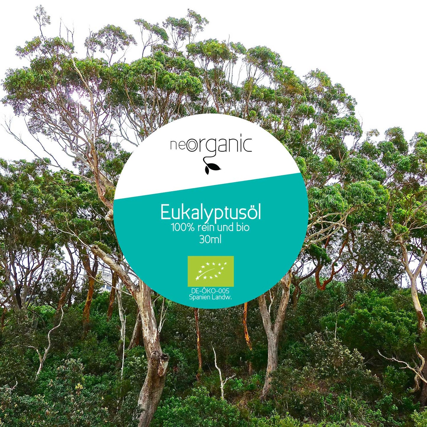 Bio Eukalyptusöl (Eucalyptus Globulus 80 Leaf Oil)
