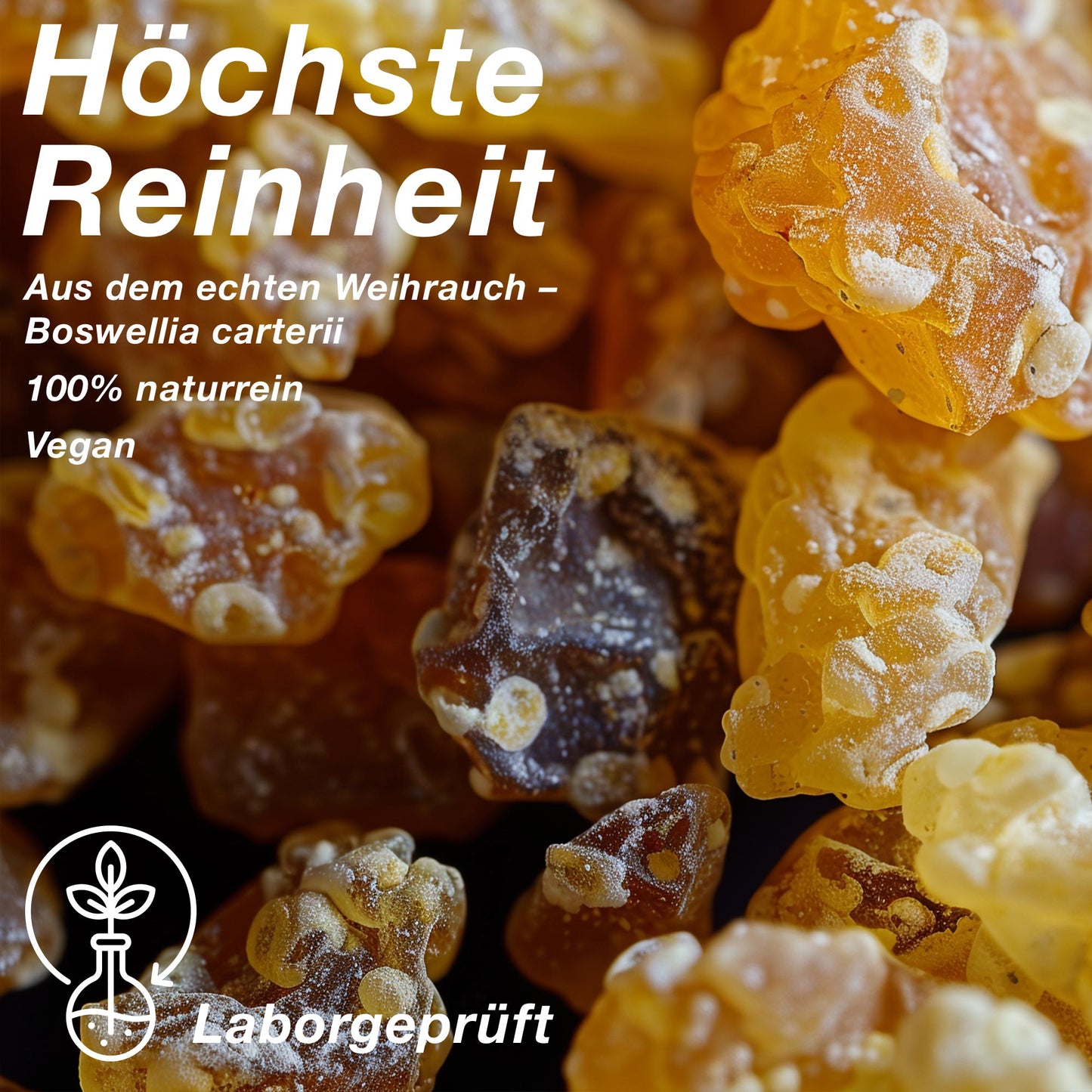 Bio Weihrauchöl (Boswellia carterii) aus Somalia, Beeyo-Weihrauchöl