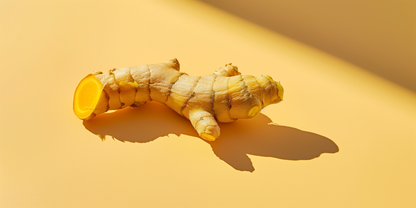 Bio Kurkumaöl (Curcuma Longa)