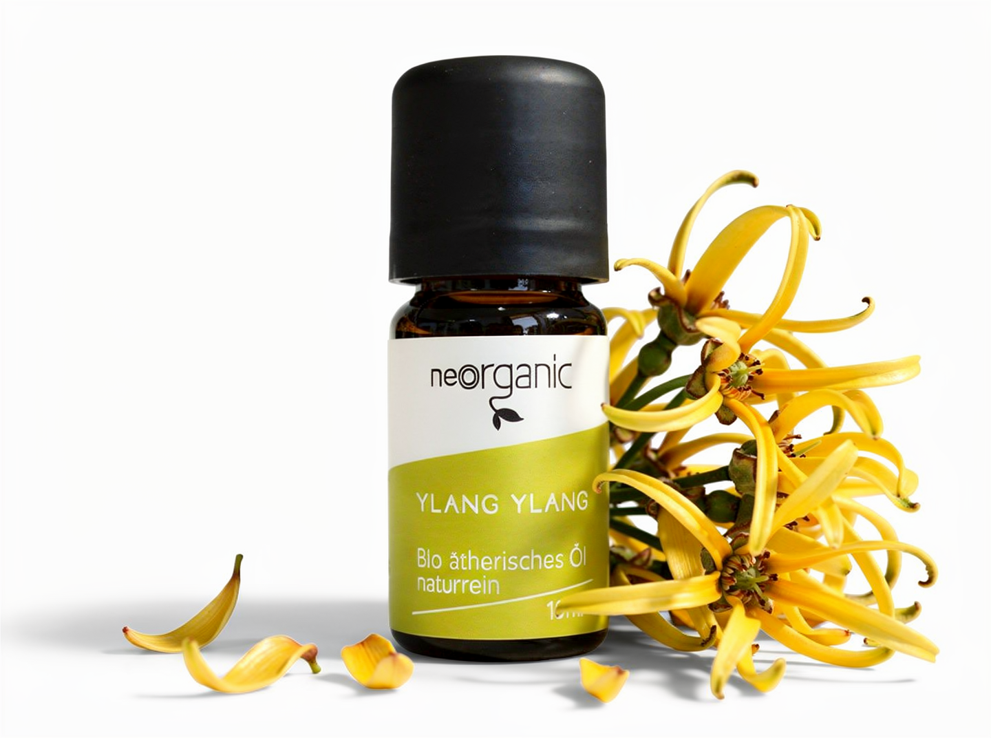Bio Ylang Ylang-Öl (Cananga Odorata)