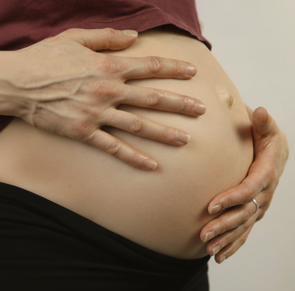 Bio Hagebuttenkernöl (Rosa Canina L. Seed Oil), Wildrosenöl